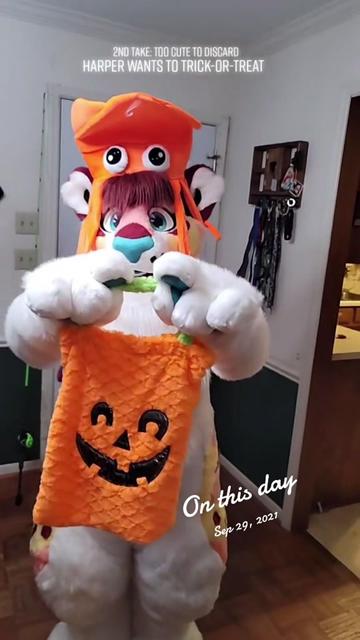 @Areyoufurwheels