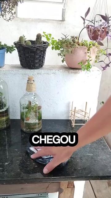@EcoaBio - Educação Ambiental