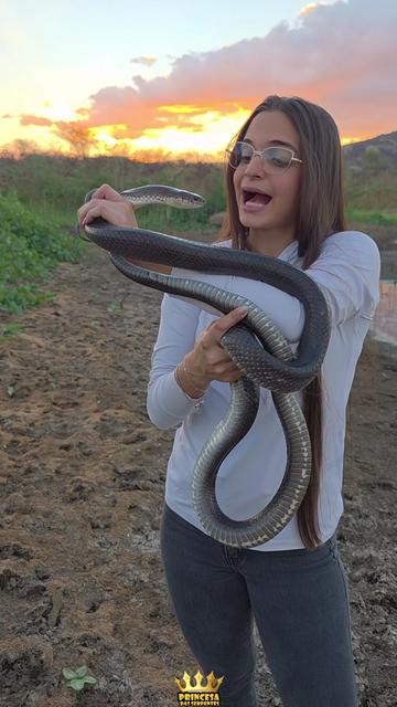@Princesa das Serpentes