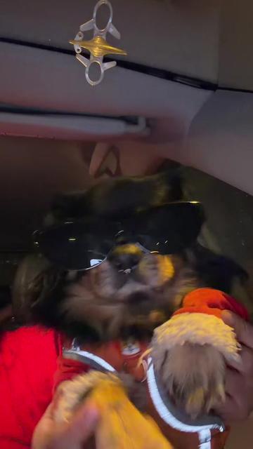 @🍀🐾Luis Pulgarin y Mafrencito