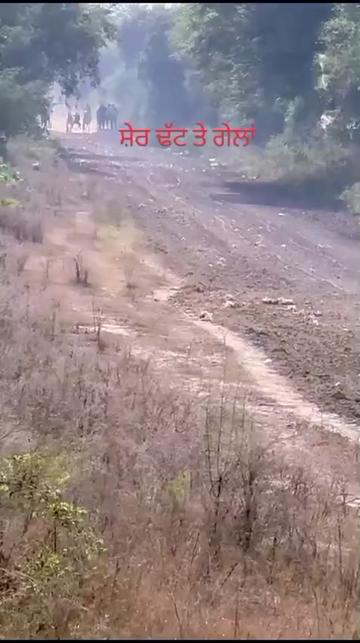 @Sonymavi84