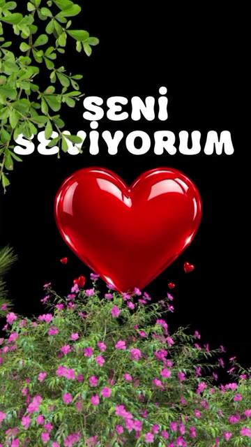 @SHOW İS NAME