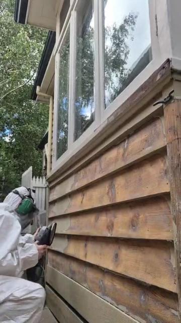 @womeninwhitepainters