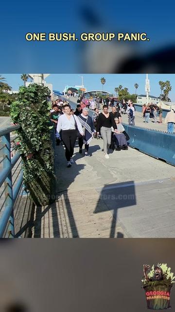 @Georgia Pranksters