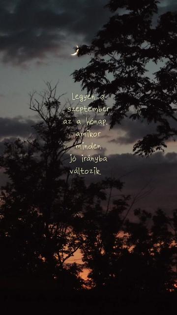 @𝓟𝓵𝓮𝓽𝓵𝓲 𝓐𝓷𝓲𝓽𝓪