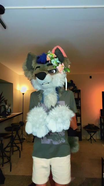 @DisjointWolfy