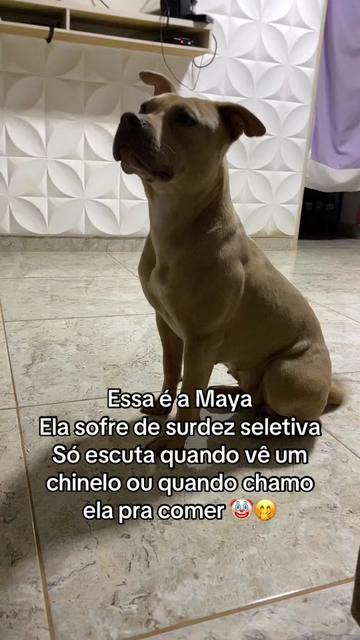@Allexia Almeida