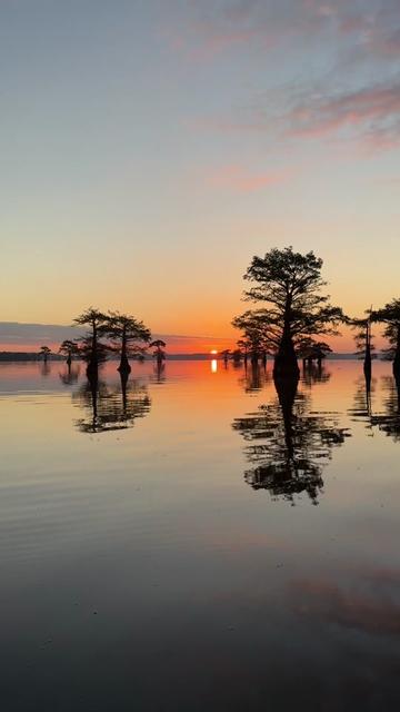@Caddo Lake FirstCastCabin