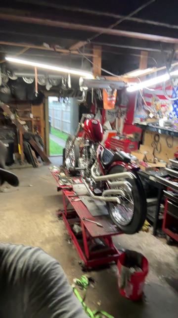 @Boneyard Gnat