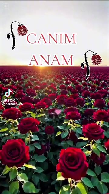 @yetim qiz