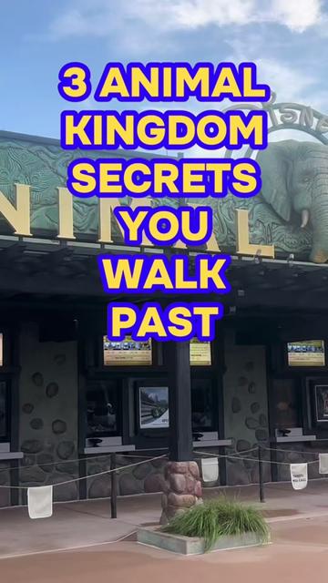 @lifetimeofmagic