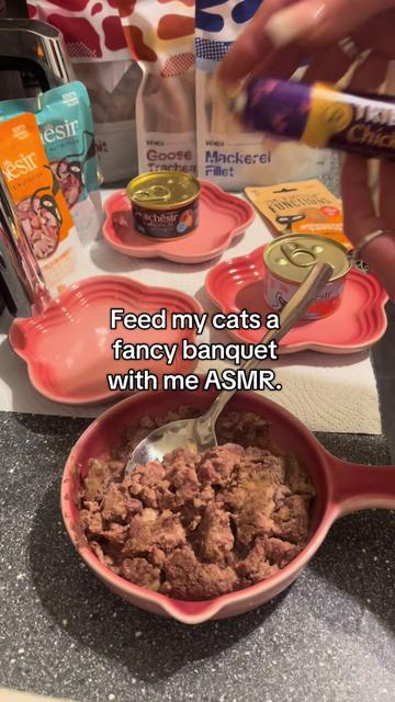 @TheFancyCatsWorld