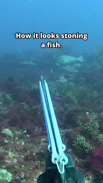 @straighthookers
