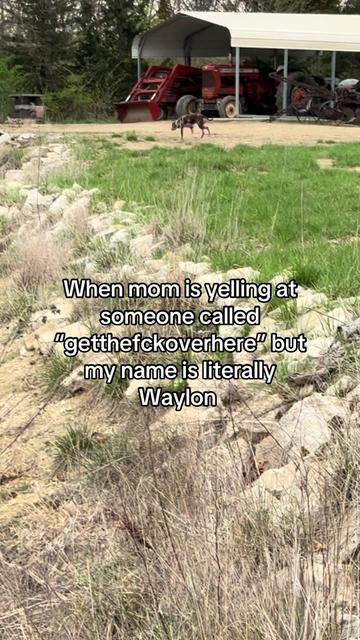 @Waylon