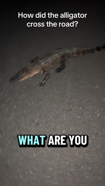 @Brandon