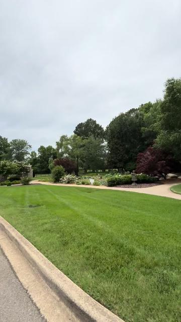 @Zach Paton | TN REALTOR