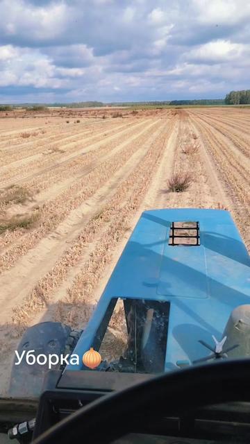 @Pashka😎 Kobrin🫶