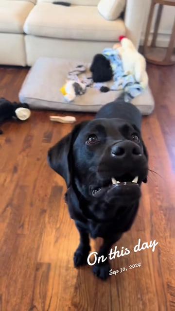 @Sam & Brody