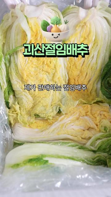 @아삭-괴산절임배추