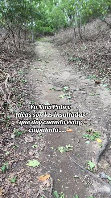 @💛🤎BonitaGirasol91