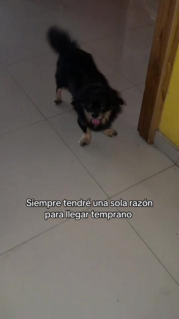 @🍀🐾Luis Pulgarin y Mafrencito