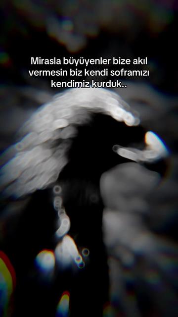 @&ccedil;ılgın 🚴&zwj;♂️🇹🇷🫡
