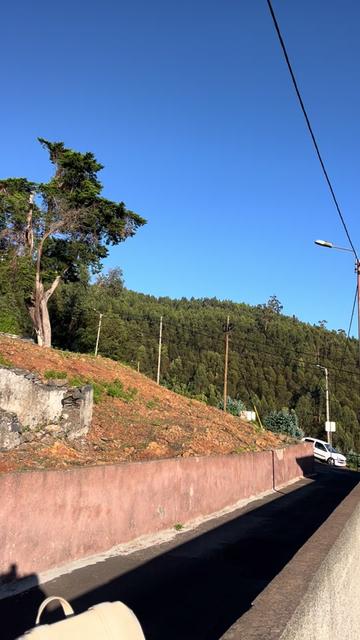 @Graca.Madeira