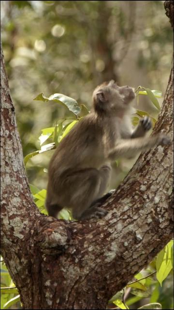 @Kai Meyer | Wildlife Filmmaker
