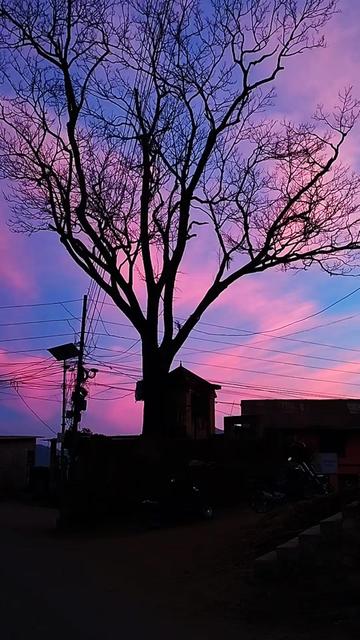 @🇳🇵 Lila Shrestha 🇮🇳