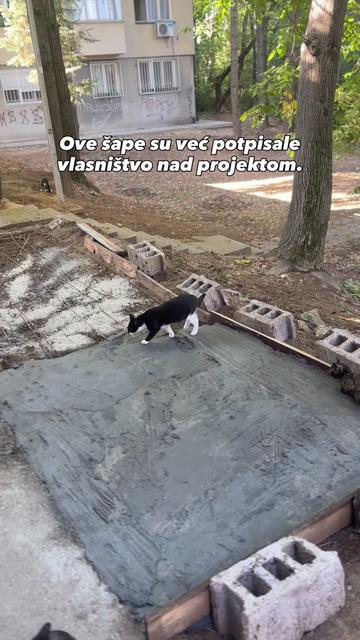 @cosanostrapurr