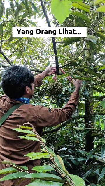 @LADIN ECOFARM STORE