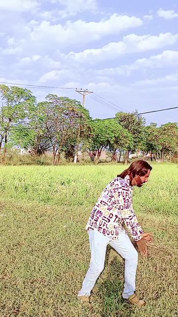 @Falak Sheer