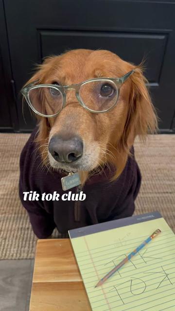 @2goldensandacat