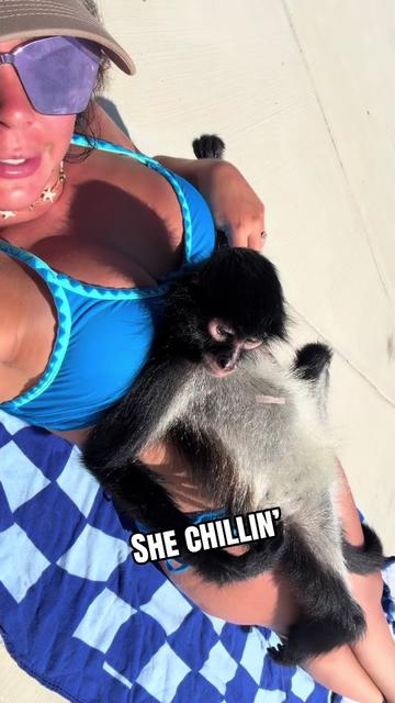 @Wild South Exotics