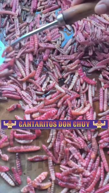 @Gerardo Campa