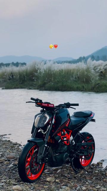 @TORQUE_250 💀