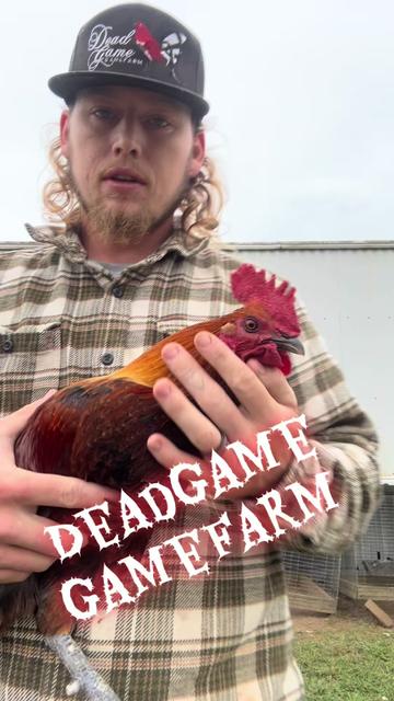 @DeadGame.Gamefarm