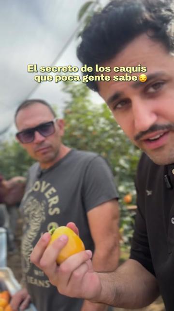 @TALKUAL