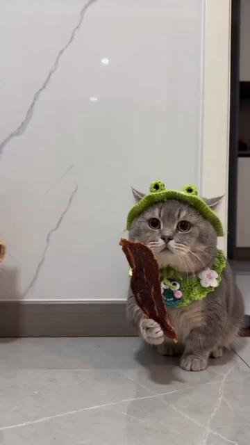 @Tony老師
