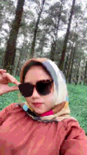 @Dianlestari.co