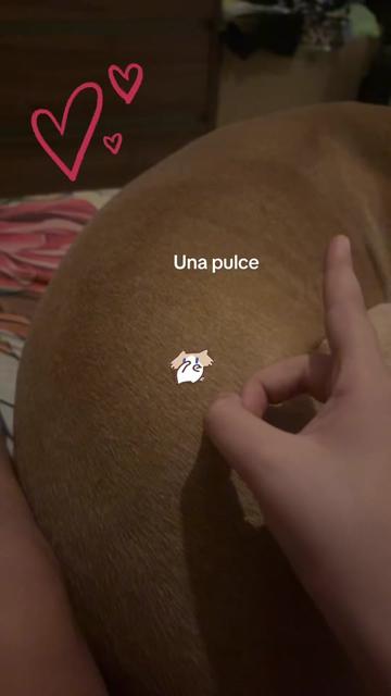 @Anna. Conticelli