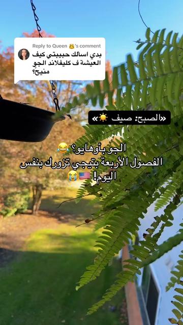 @Batool Aldwaimah ❤️