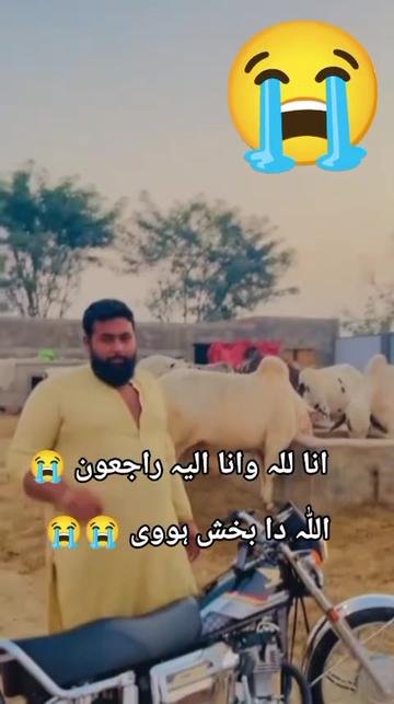 @🇵🇰🇵🇰خان بھائی🇵🇰🇵🇰