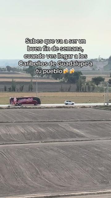 @Braulio Ventura
