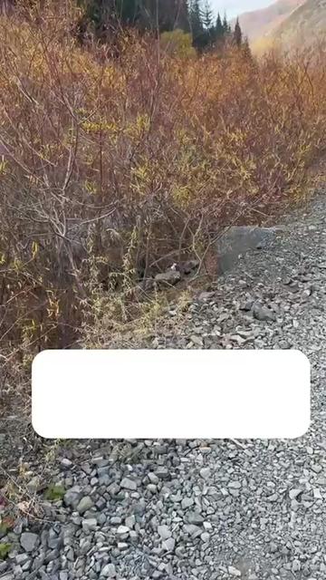 @zakon.kz ➡️ Новости Казахстана