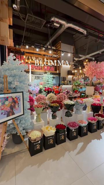 @BLOMMA CONCEPT