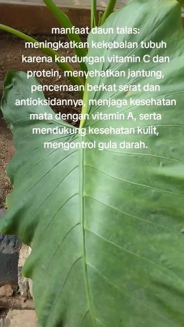 @reny glamur