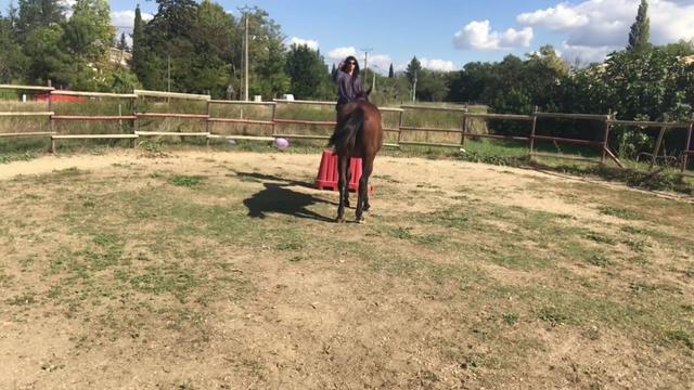 @Horsewoman Trip