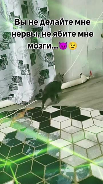 @Галчонок