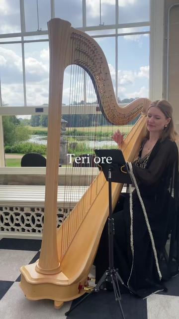 @bollywoodharpist